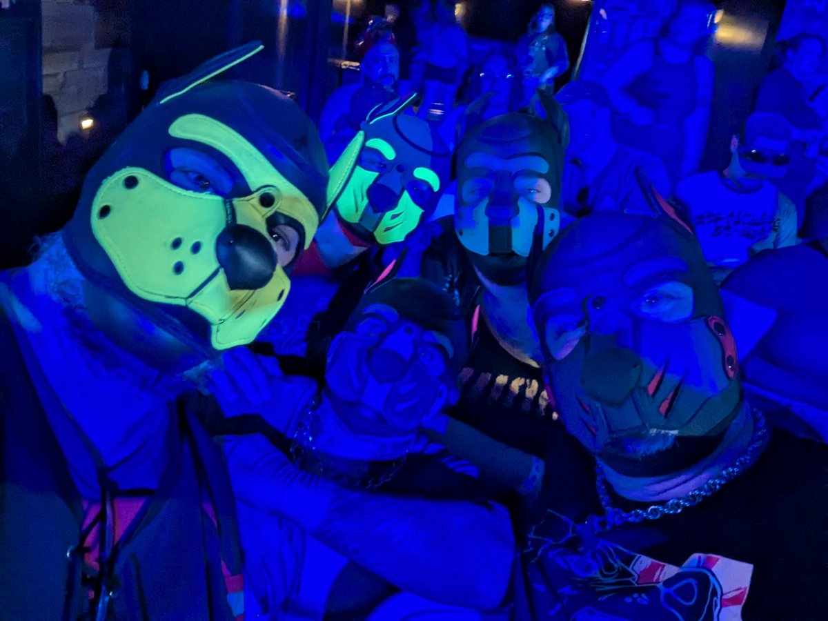 Bouncer.dog on bsky 🔜 COG A/B tweet media