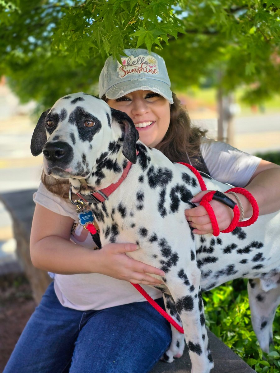 PawBoost tweet media