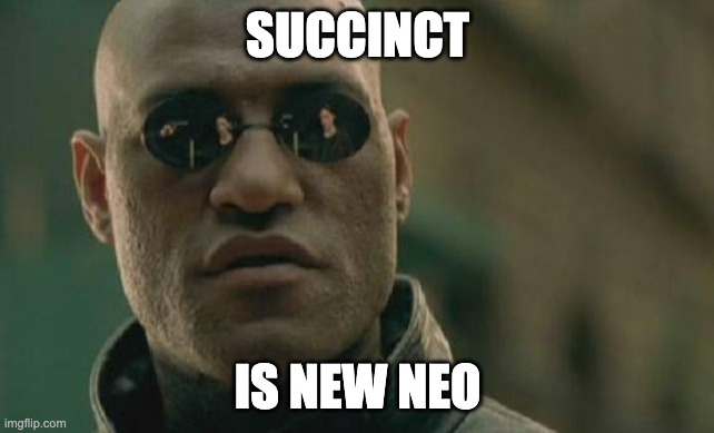 DoVira9's tweet photo. @SuccinctLabs is gamechanger https://t.co/c9Ofnz4ySW