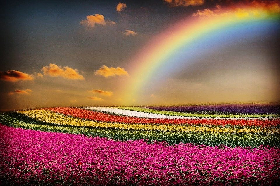 Curiosa-mente (@openmente2) on Twitter photo 