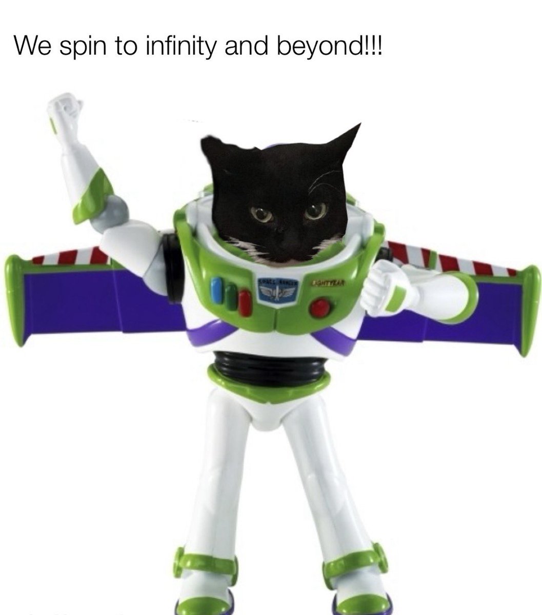 the cat keeps spinning to the top!!! #SPINCAT