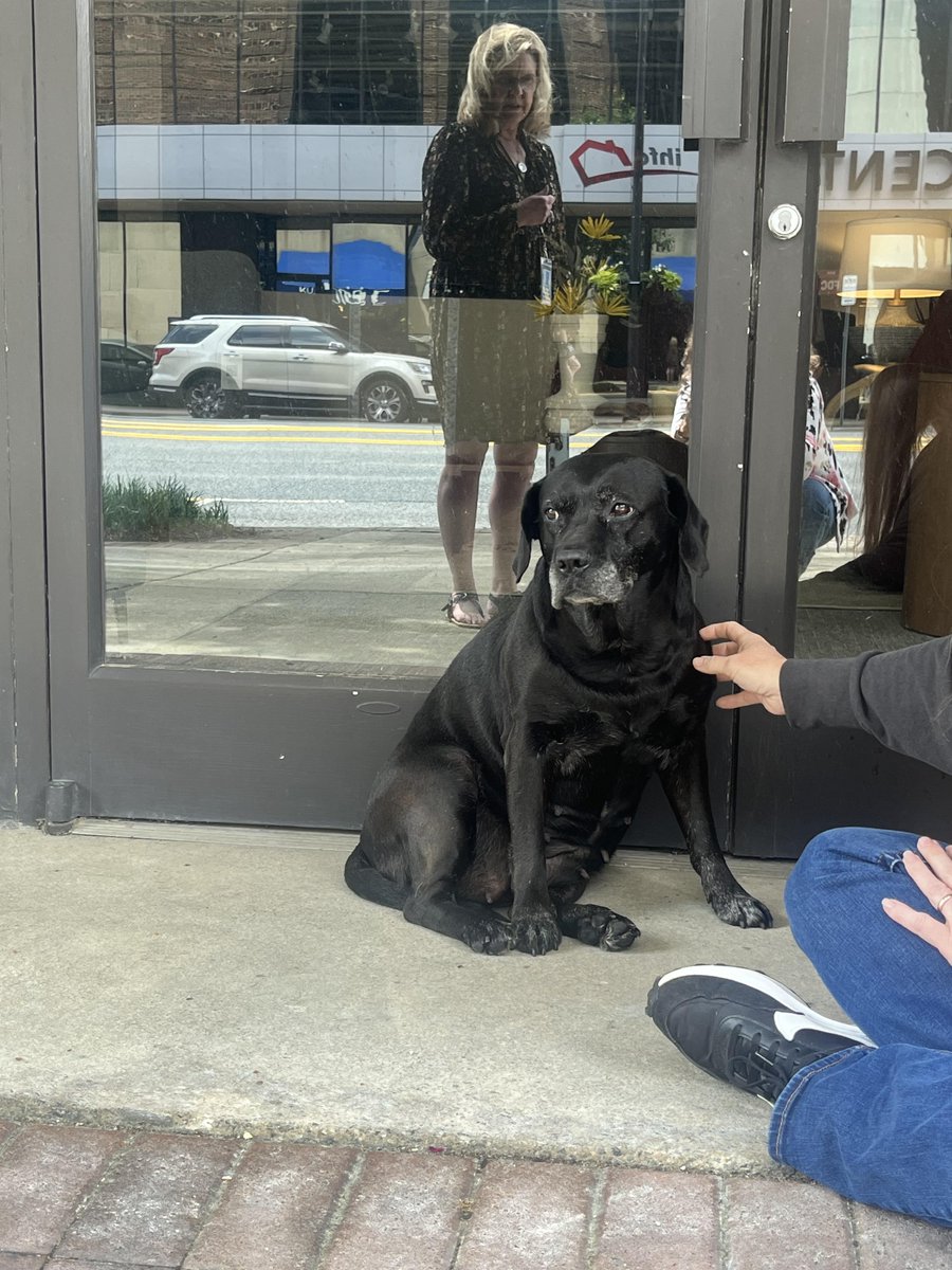 PawBoost tweet media