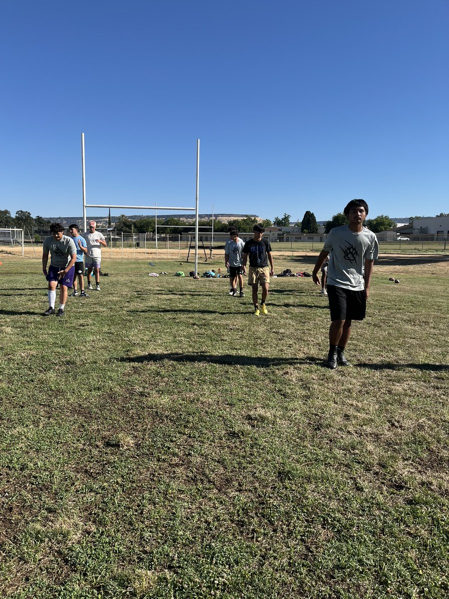 CoachMunoz99's tweet photo. Week 2 Day 3 in the 📚 
TigerPride💜 https://t.co/hharjOAAlG