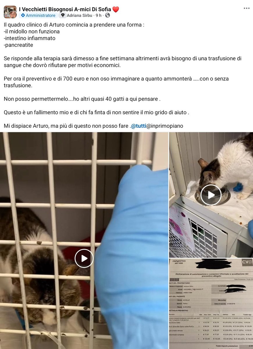 #Arturo ha
-il midollo che  non funziona
-intestino infiammato
-pancreatite
🥺  deve restare ricoverato sperando che risponda alle terapie 
Se sarà necessario una trasfusione,   #Adriana dovrà rifiutare 
Per aiutarla 
☎️ 348 6517384
🆘️🆘️🆘️🙏🏻🙏🏻🙏🏻
#aiutaunrandagio
