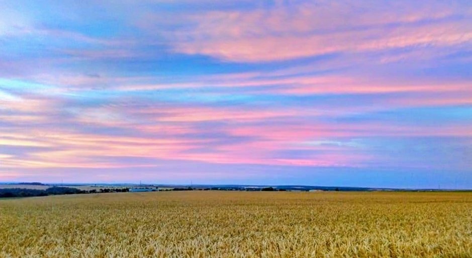 Glorious evening view ✨️