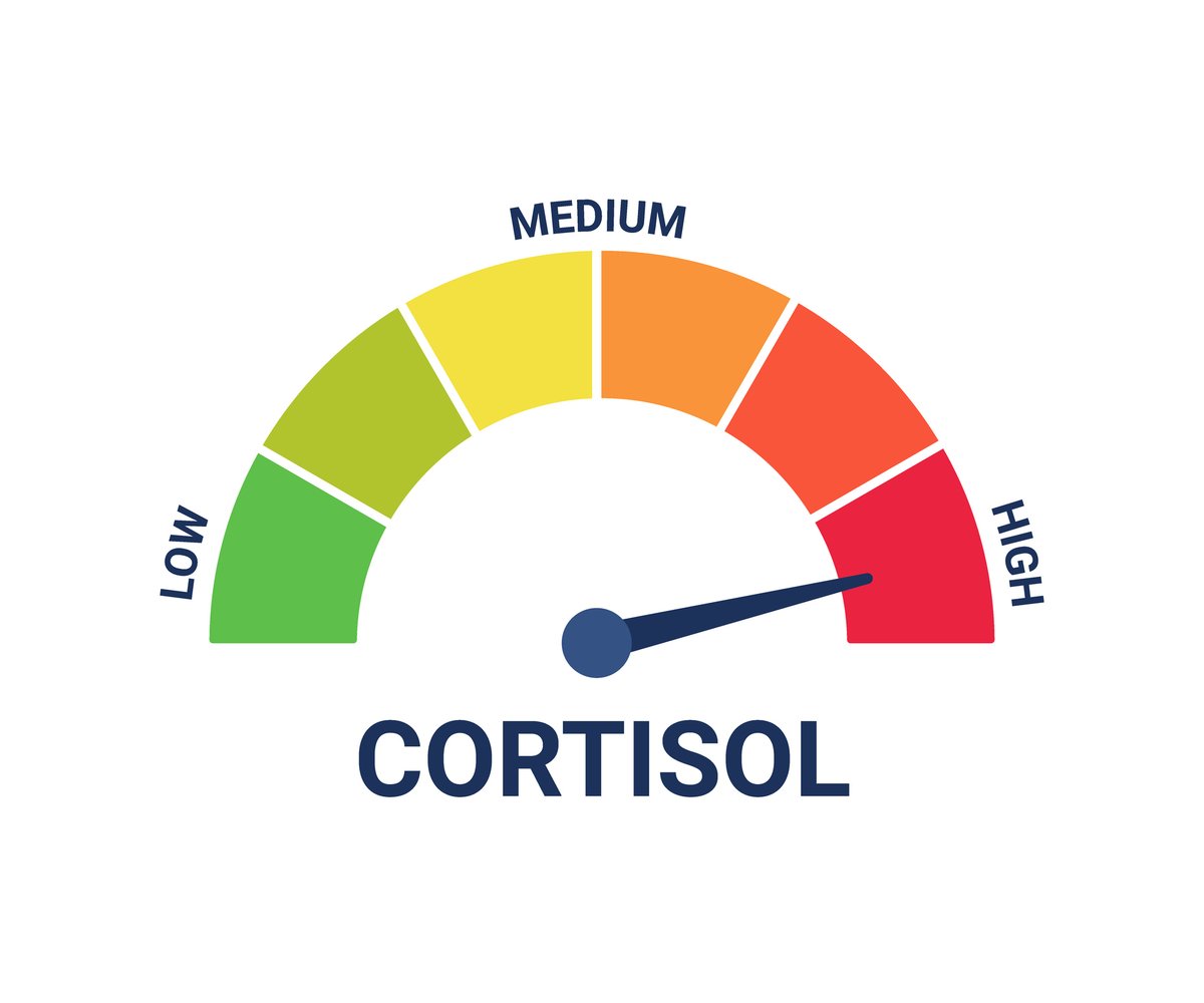 How Do High Cortisol Levels Affect Our Health? Having elevated cortisol levels may lead to #highbloodpressure,  #highbloodsugar, reduced fertility, osteoporosis, or weight gain in the face or abdomen. ow.ly/SEHy50WbWPT