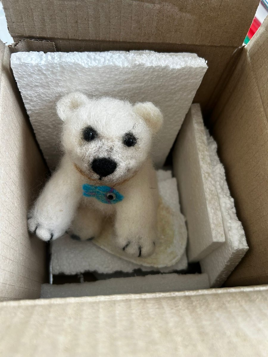 SOGCaledonian School tweet media