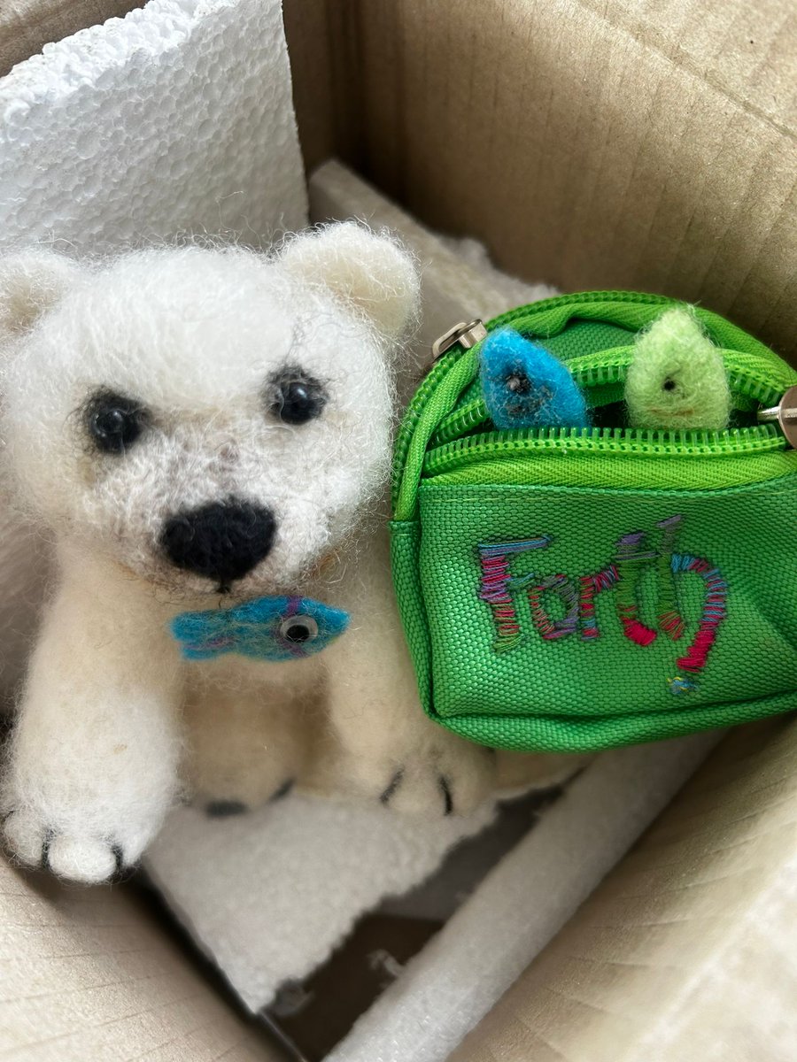 SOGCaledonian School tweet media