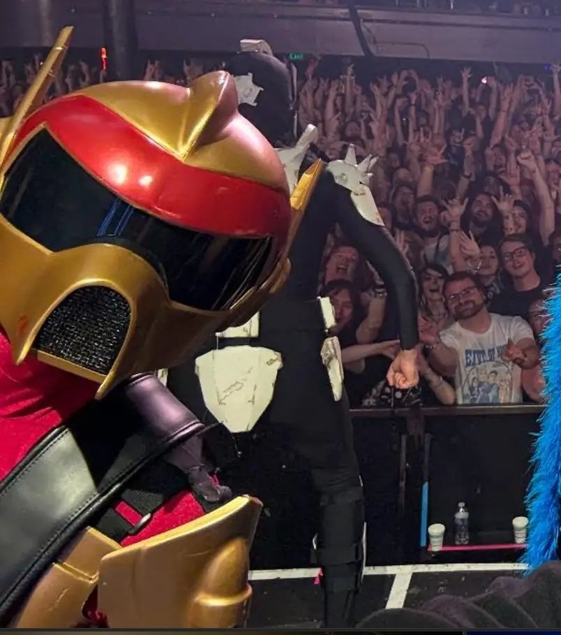 _tinycatspoon's tweet image. havve???