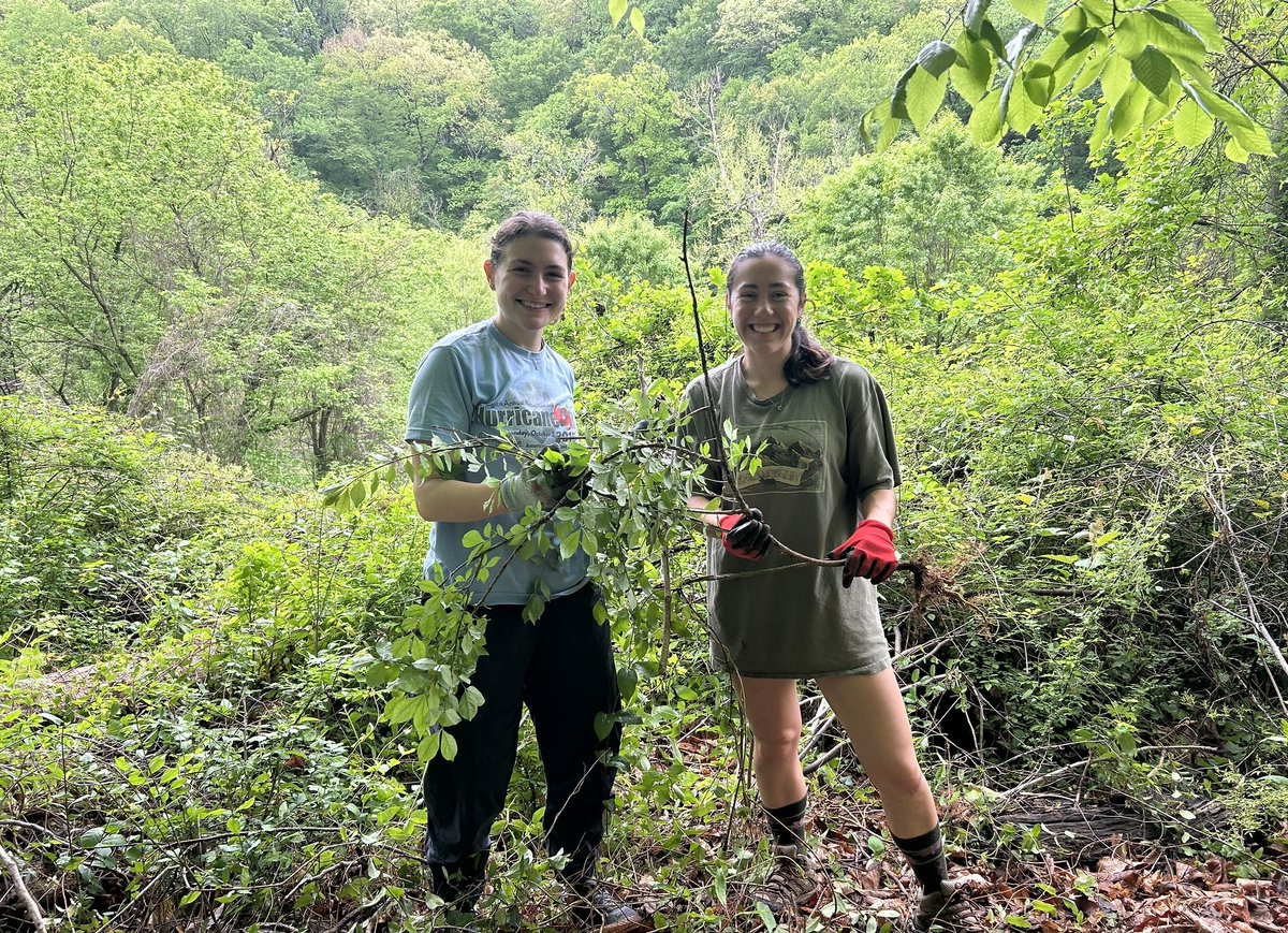 Volunteer with us! Be a good force in your community - join us for an invasive plant removal as we pull weeds from our Trail 9 Mini-Oasis on Saturday, June 21, 10:00 AM - 12:00 PM!

Sign up here: tinyurl.com/yu5szp22