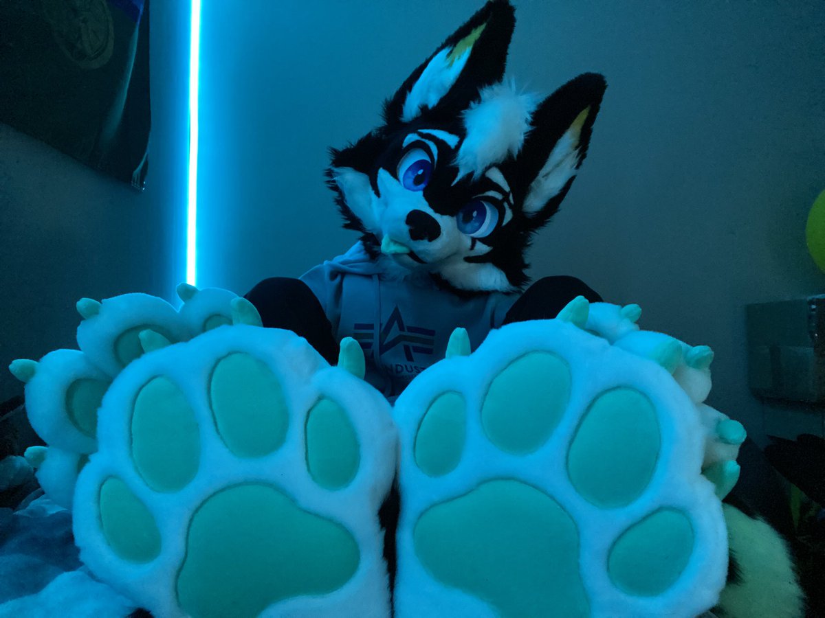 Electro_monster (@electr0_m0nster) on Twitter photo 🐶🐾 Awrf I got some fresh beans ^^ Thank you for the beans <a href="/VarrosCreations/">Varro's Creations</a> ^^ 🐾
#FursuitEveryday 🐶🐾 Awrf I got some fresh beans ^^ Thank you for the beans <a href="/VarrosCreations/">Varro's Creations</a> ^^ 🐾
#FursuitEveryday