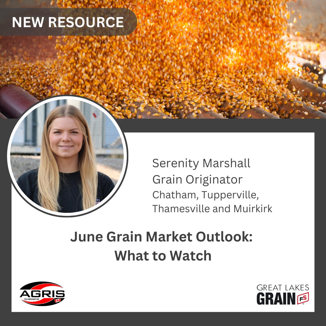 Markets steady but watch June closely! Key USDA reports &amp; global crops could shift grain prices. Plan your strategy now. #AgMarketing #Corn #Soybeans
 🔗 greatlakesgrain.com/News/News-Deta…