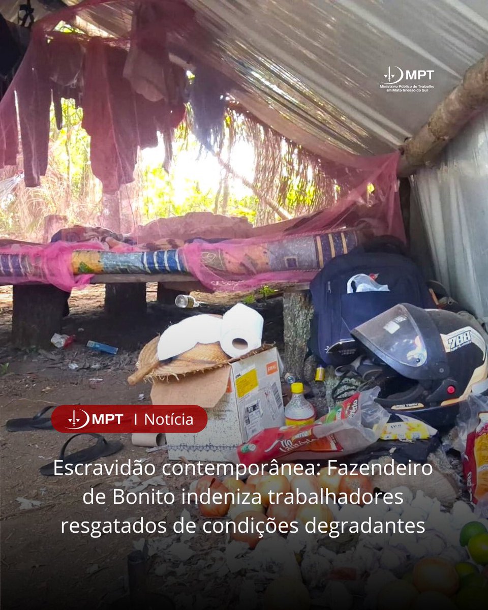 MPT_MS's tweet photo. Resgate em Bonito (MS): 7 trabalhadores paraguaios foram encontrados em condições degradantes de labor na zona rural de Bonito. Eles viviam em barracos de lona, sem banheiro, água potável ou energia elétrica, e chegaram à fazenda com dívida de R$ 6 mil.

https://t.co/De03M5qcIe https://t.co/zfW1ek1ay9