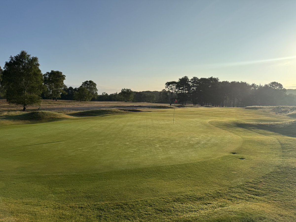 Andy Wood ⚫️⚪️ tweet media