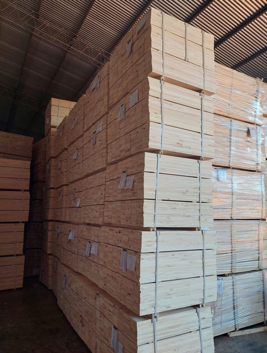 SabbatellaLucas's tweet photo. En C&amp;S Global Business S.A., ofrecemos una amplia gama de productos aserrados en eucalipto y pino de primera calidad, diseñados a la medida de las necesidades de su proyecto.
📩 Lucas@cysglobalbusiness.com https://t.co/Wg7sssJXmU