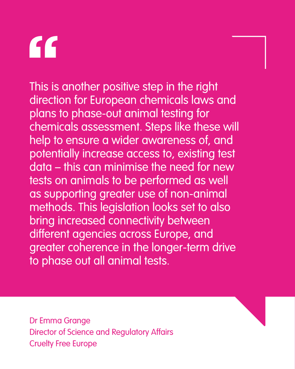 A positive move for animals in laboratories 💗

The European Union has agreed new regulations to increase transparency, efficiency and coherence in the safety assessments of chemicals.

Learn more: bit.ly/4n8LYee