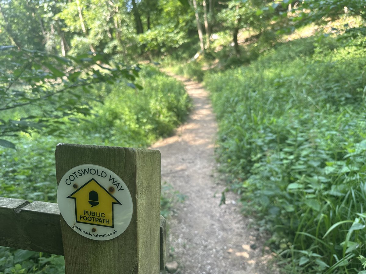 Loved yesterday’s walk along the Cotswold Way, which featured a 120-year-old steam engine of the <a href="/GWSR/">Gloucestershire Warwickshire Railway</a> conveying me to the start of my walk. I’m only slightly sunburned now!