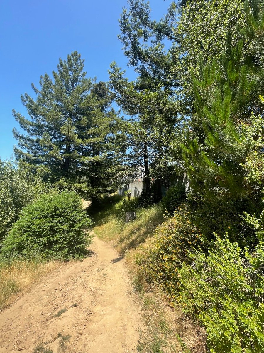 Sip under the stars this Saturday 🌌🍷 Join us for Hike &amp; Sip at Chabot—an evening of redwoods, night sky views, and good company. Ages 21+

🎟️ Tickets &amp; details: chabotspace.org/calendar/hike-…

#HikeAndSip #ChabotSpace #BayAreaEvents #Stargazing #bayareahike