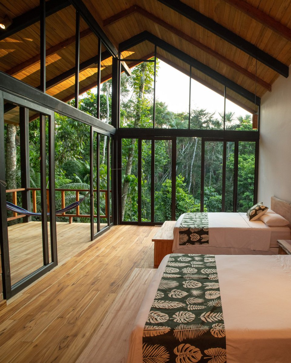 Wake up to the rainforest at your doorstep.

At Sacha Lodge, our rooms with wide open windows immerse you in the heart of the Amazon. No walls between you and nature just birdsong, whispering leaves… and the occasional monkey playing in the treetops.