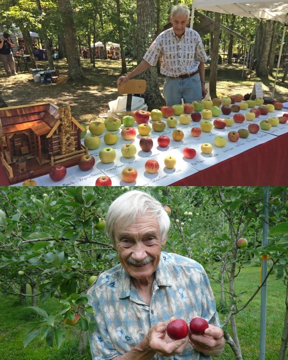 Tom Brown, retired engineer has saved around 1200 types of apples from extinction over 25 years.