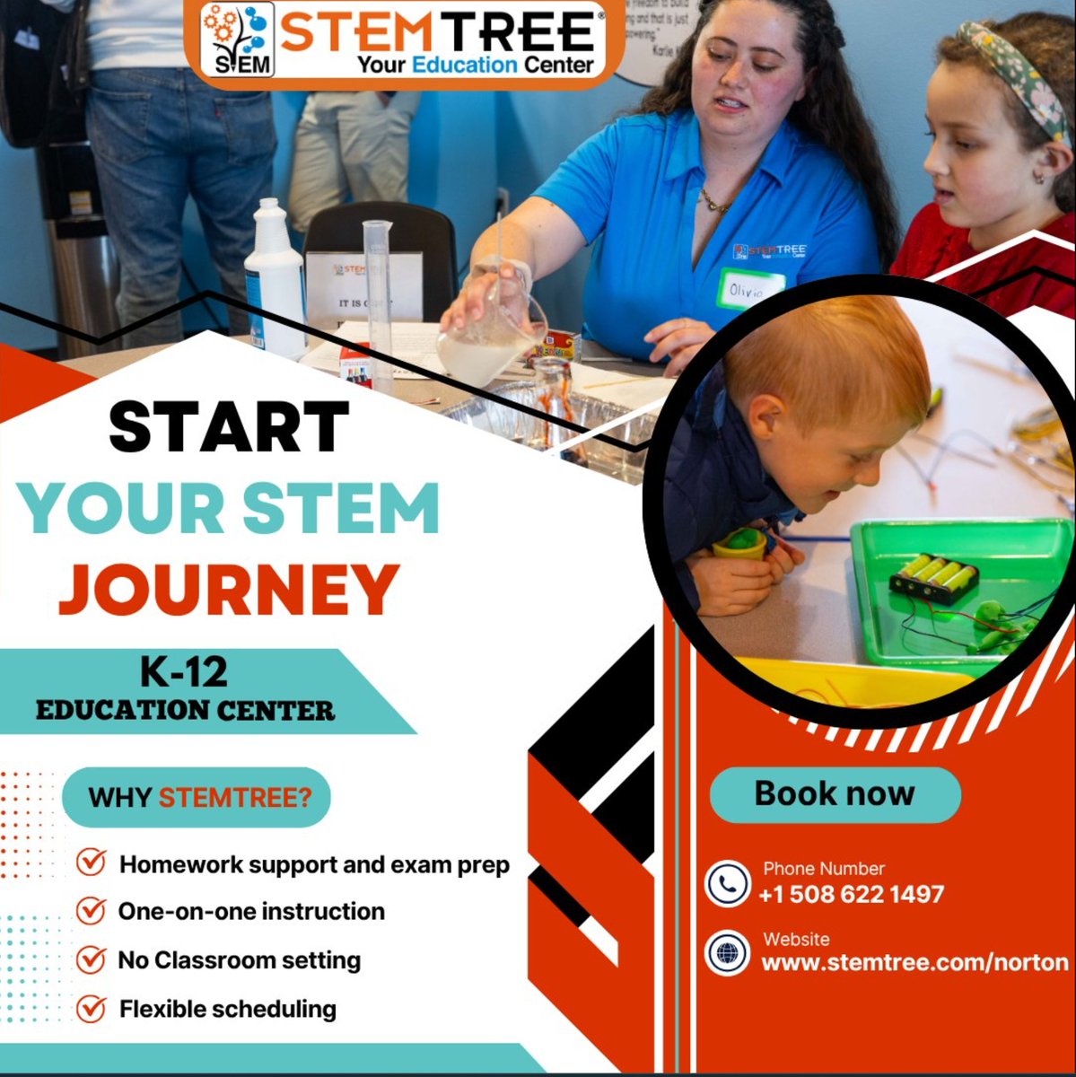 Stemtree of Norton tweet media