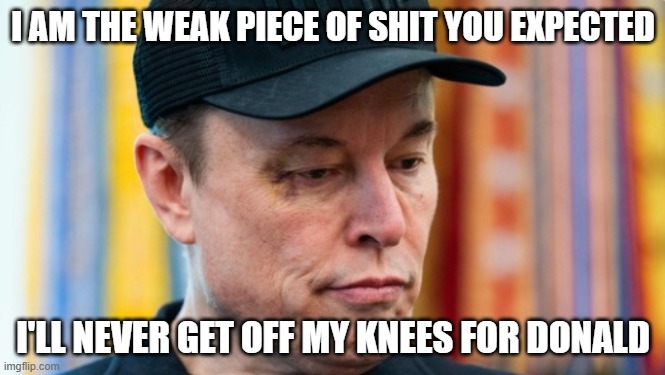 Musk will NEVER get off his knees.