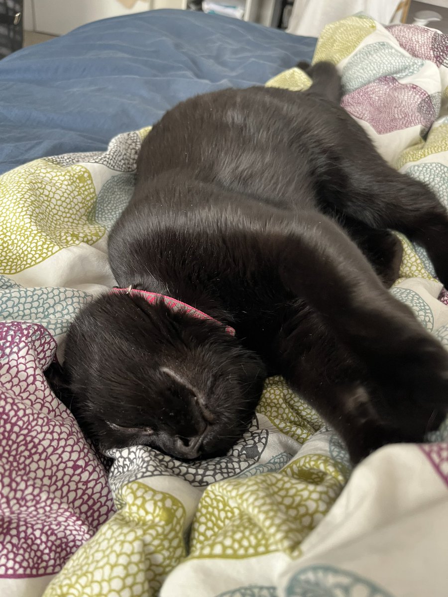 Today’s #patiopic. Feeling very lucky!! ❤️💯