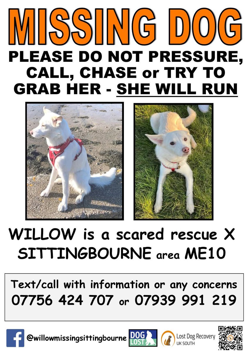 Lost Dog Recovery UK South tweet media