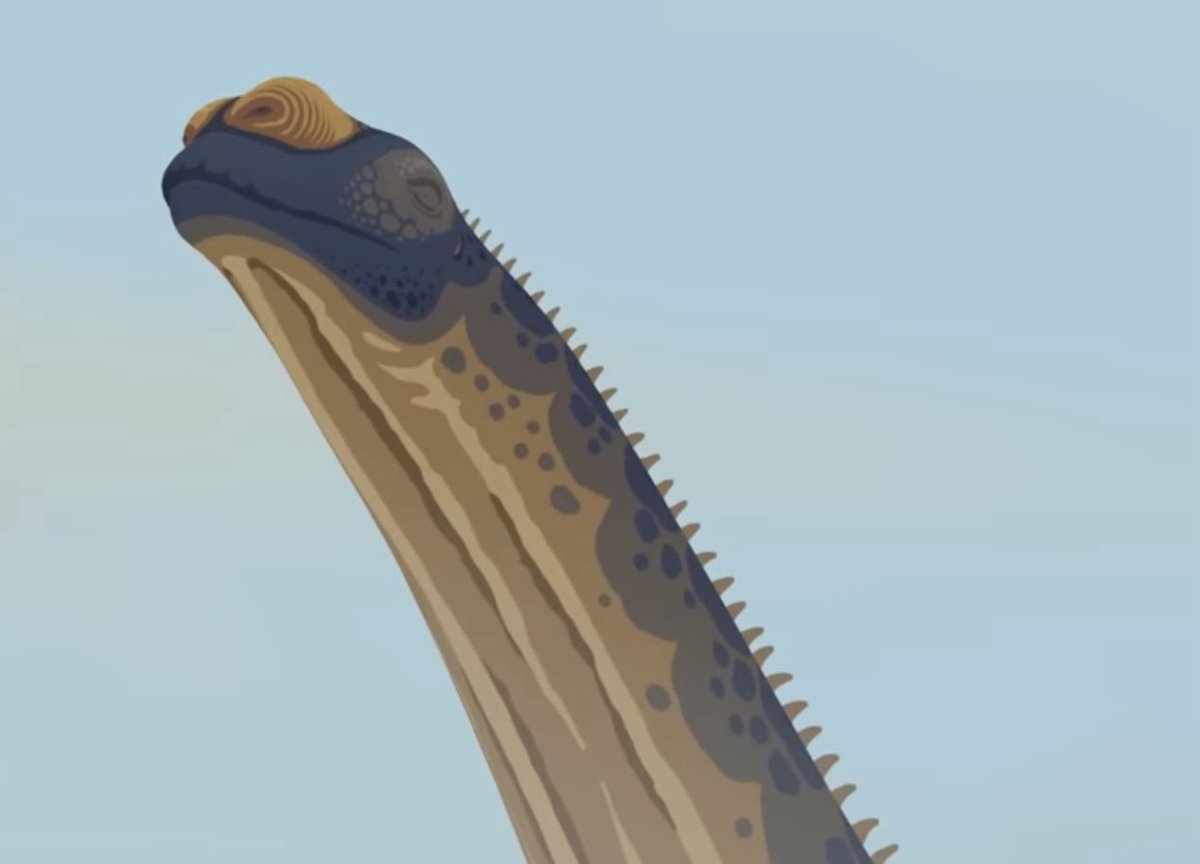 riley_ohrt's tweet photo. @mr_goji1954 Is it okay that this reminds me of the Sauroposeidon and Cetiosaurus from Dead Sound’s Dinosauria 2?
#Dinosauria #DeadSound #Dinosauria2 https://t.co/JWsGctBRf5