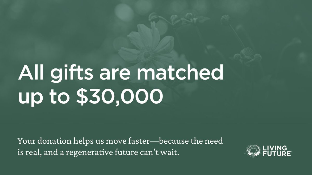 Building materials impact health, climate, biodiversity, &amp; human rights. From indoor air pollution to forced labor, our choices shape the world we live in. Support healthy, regenerative materials—donate to our Resiliency Fund &amp; be matched up to $30K! Give: bit.ly/45Jykb5