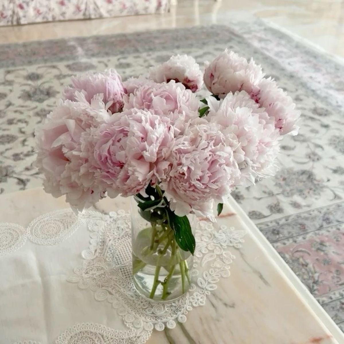 flowerinafieldd's tweet photo. https://t.co/D0Jm5BJBxD