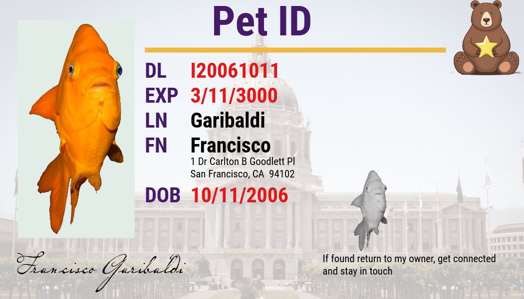 SF_emergency's tweet image. Does your pet have ID? Put your name and contact information on your pet’s ID tag in case you’re separated in an emergency. #PetPreparedness