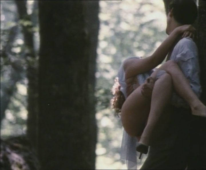 poetical photos. (@poeticalphotos) on Twitter photo 