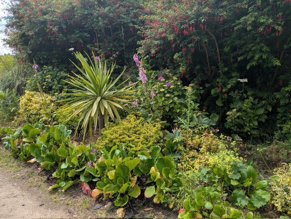 Clean up of flower beds in Julianstown Community Garden at 10.30 am.   on Saturday morning.  We need your help.