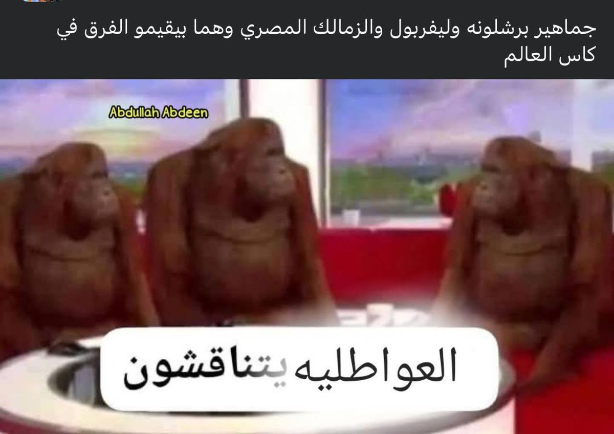 Mostafa (@mostafahamdy_) on Twitter photo 