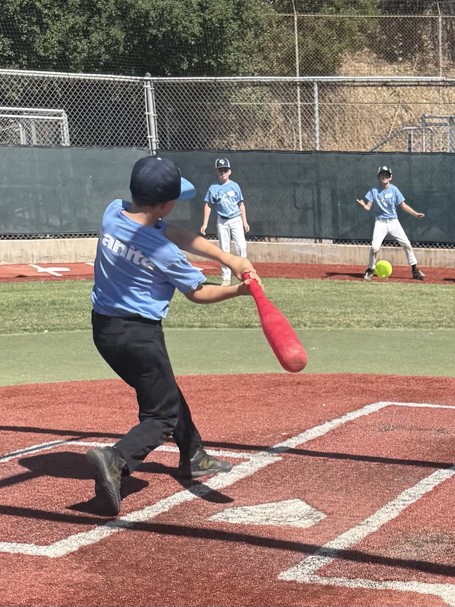 CV baseball tweet media