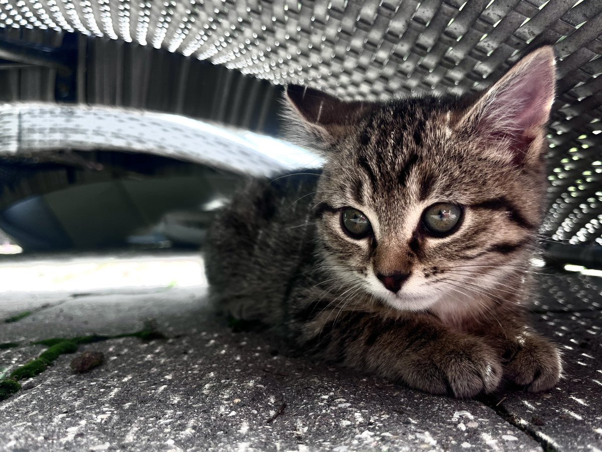 Jonathan Janz tweet media