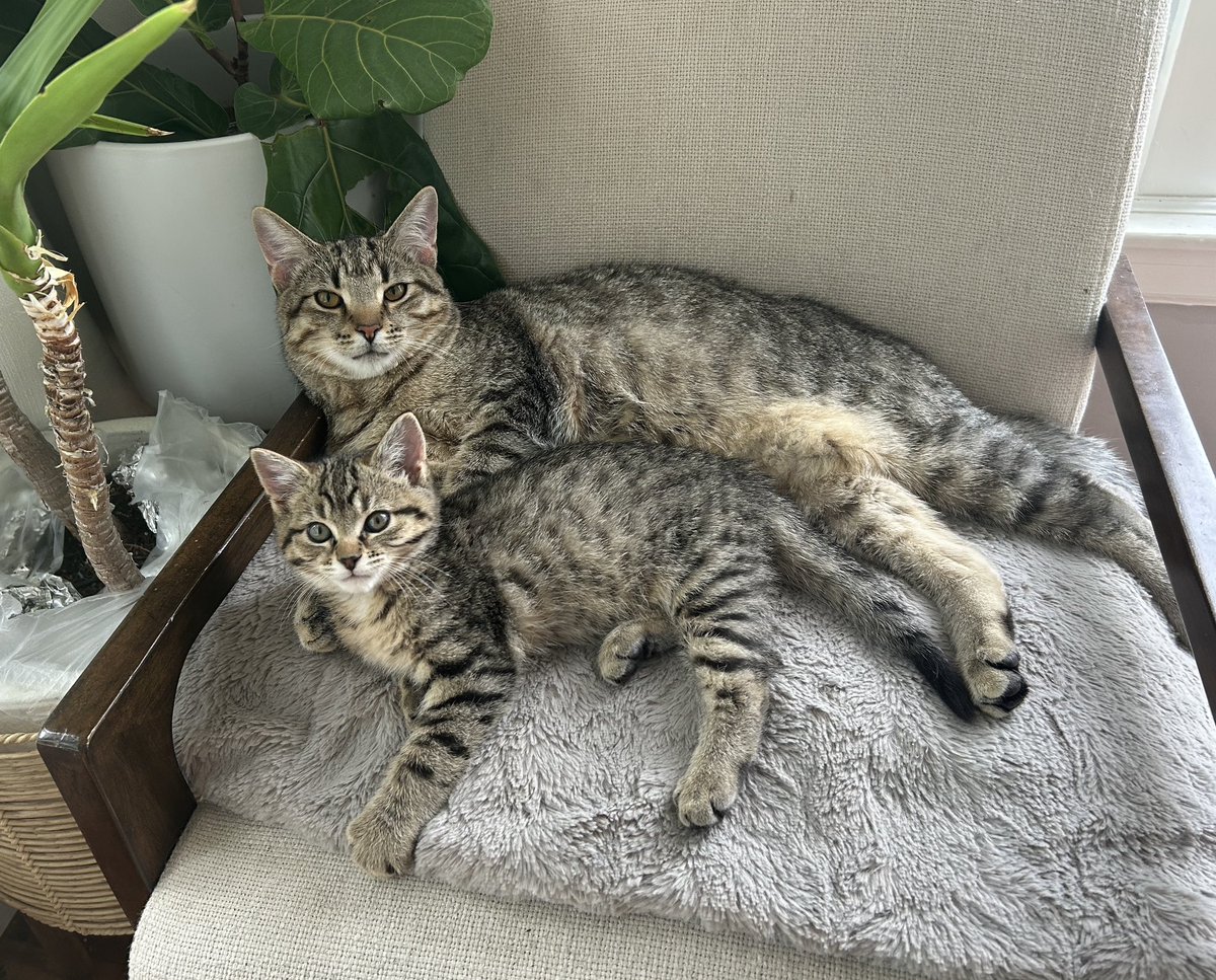 Jonathan Janz tweet media