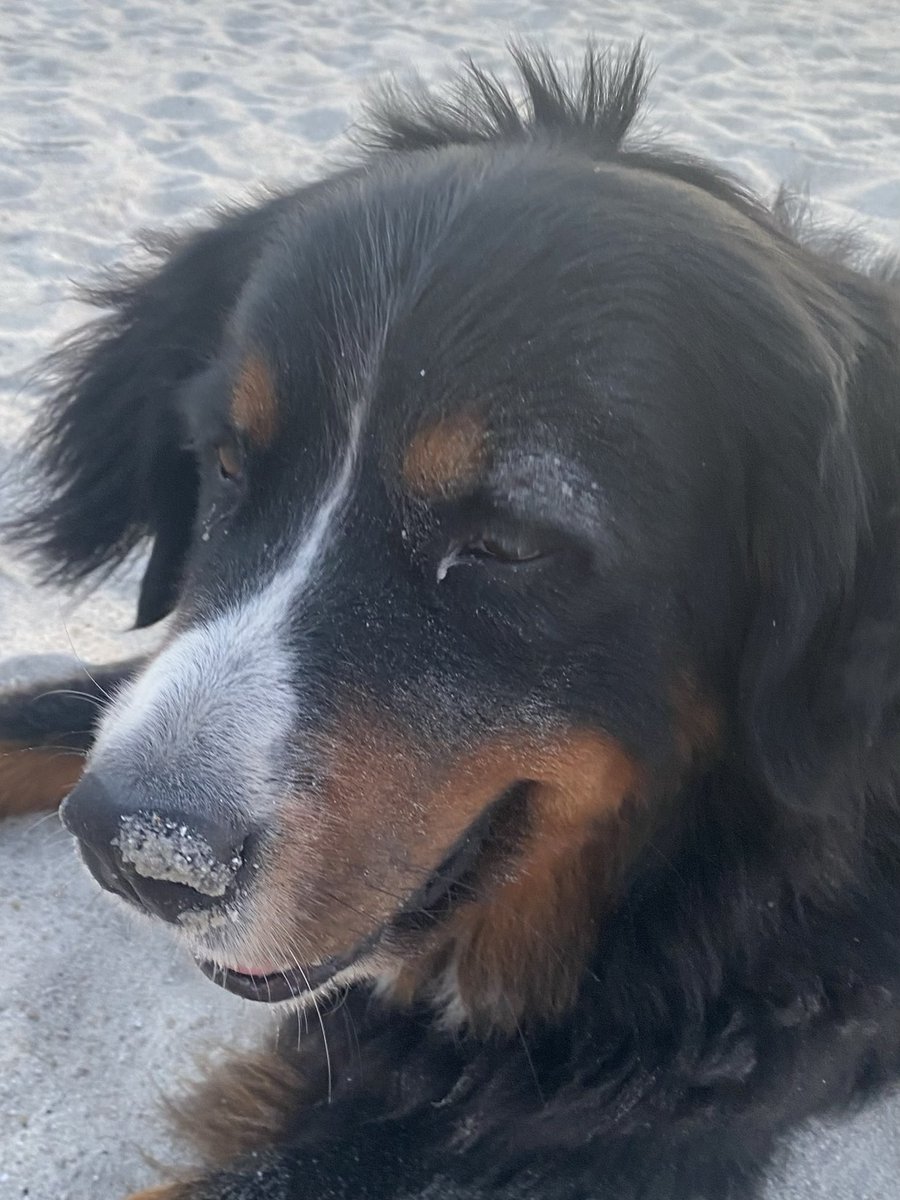 Niemand, aber auch wirklich überhaupt gar niemand hat hier Sand auf der Nase