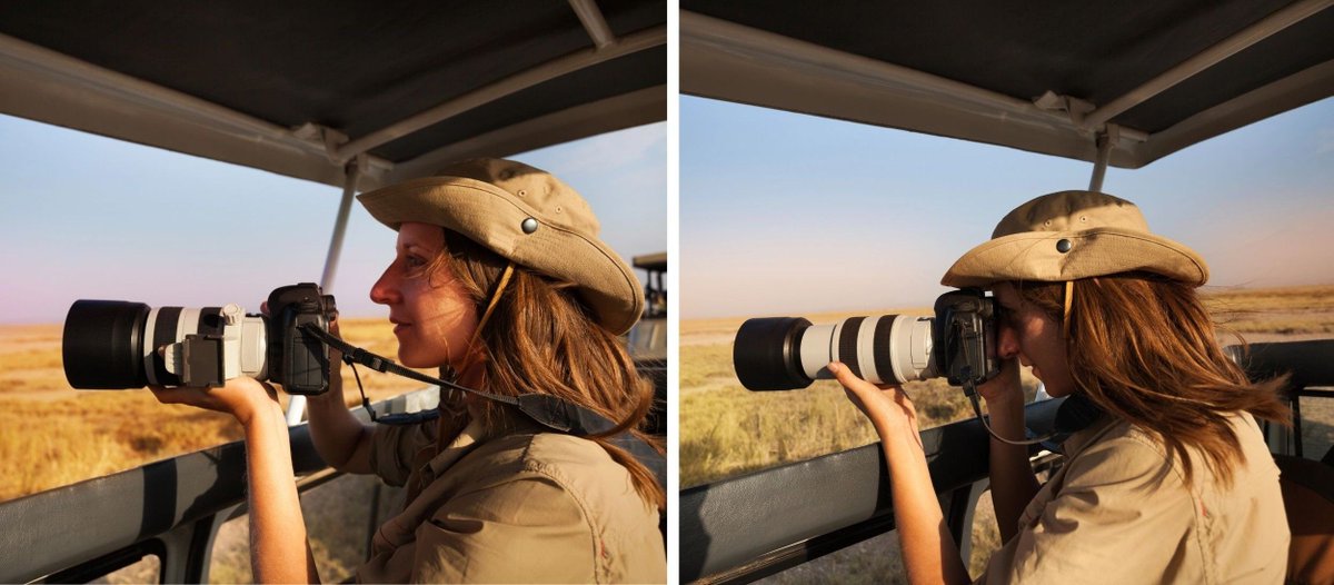 Rothschild Safaris tweet media