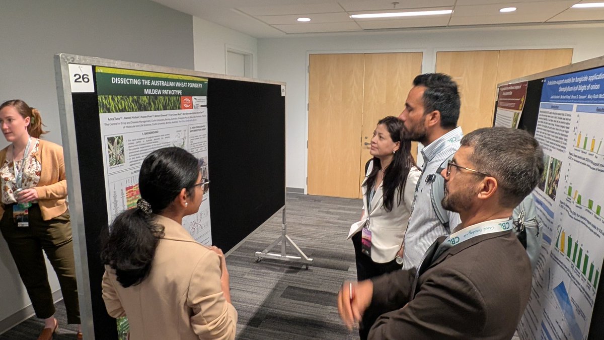 Our <a href="/theCCDM/">CCDM</a> <a href="/InterGrain1/">InterGrain</a> PhD student <a href="/tony_ancy/">Ancy Tony</a> in action - talking about her research on wheat powdery mildew pathotyping #ICRPMC2025