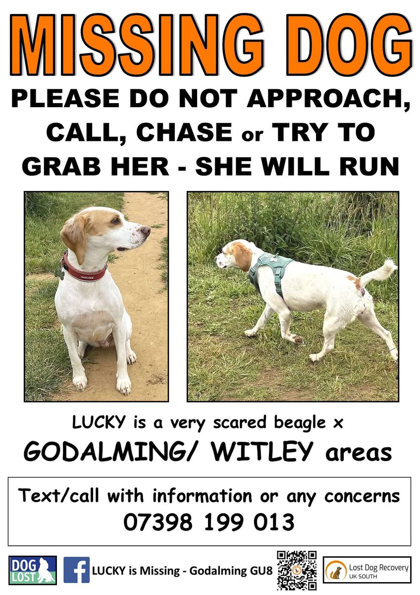 Lost Dog Recovery UK South tweet media