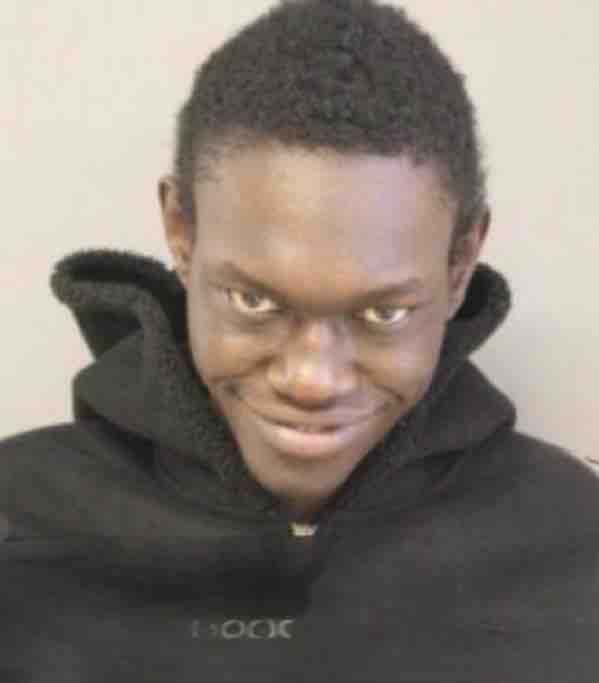 ilon masek tweet media