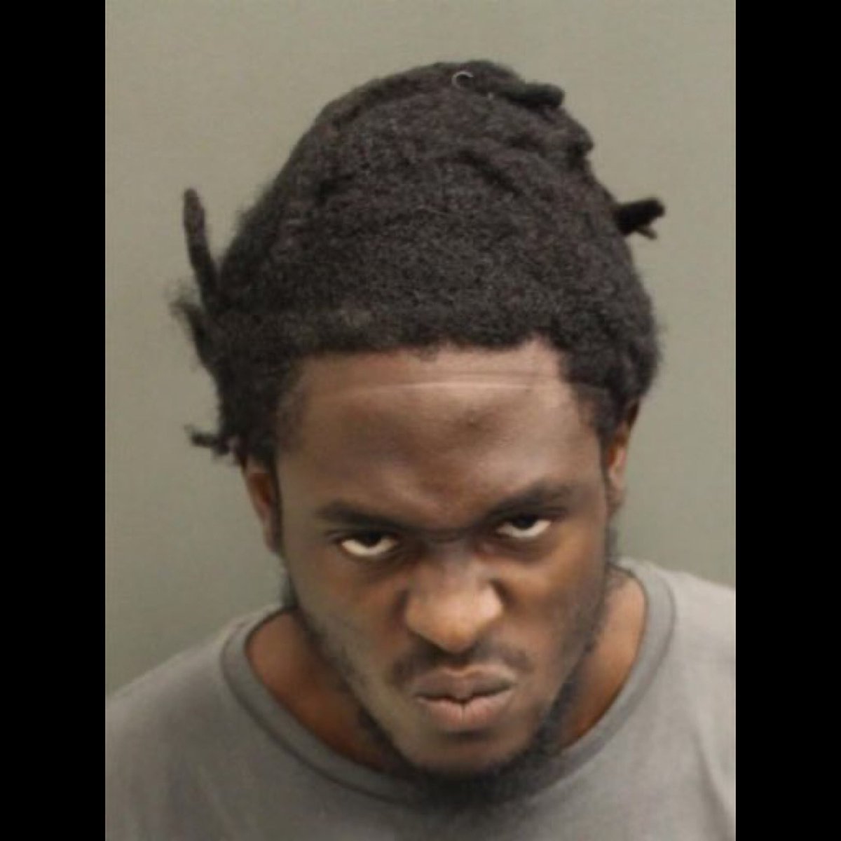 ilon masek tweet media