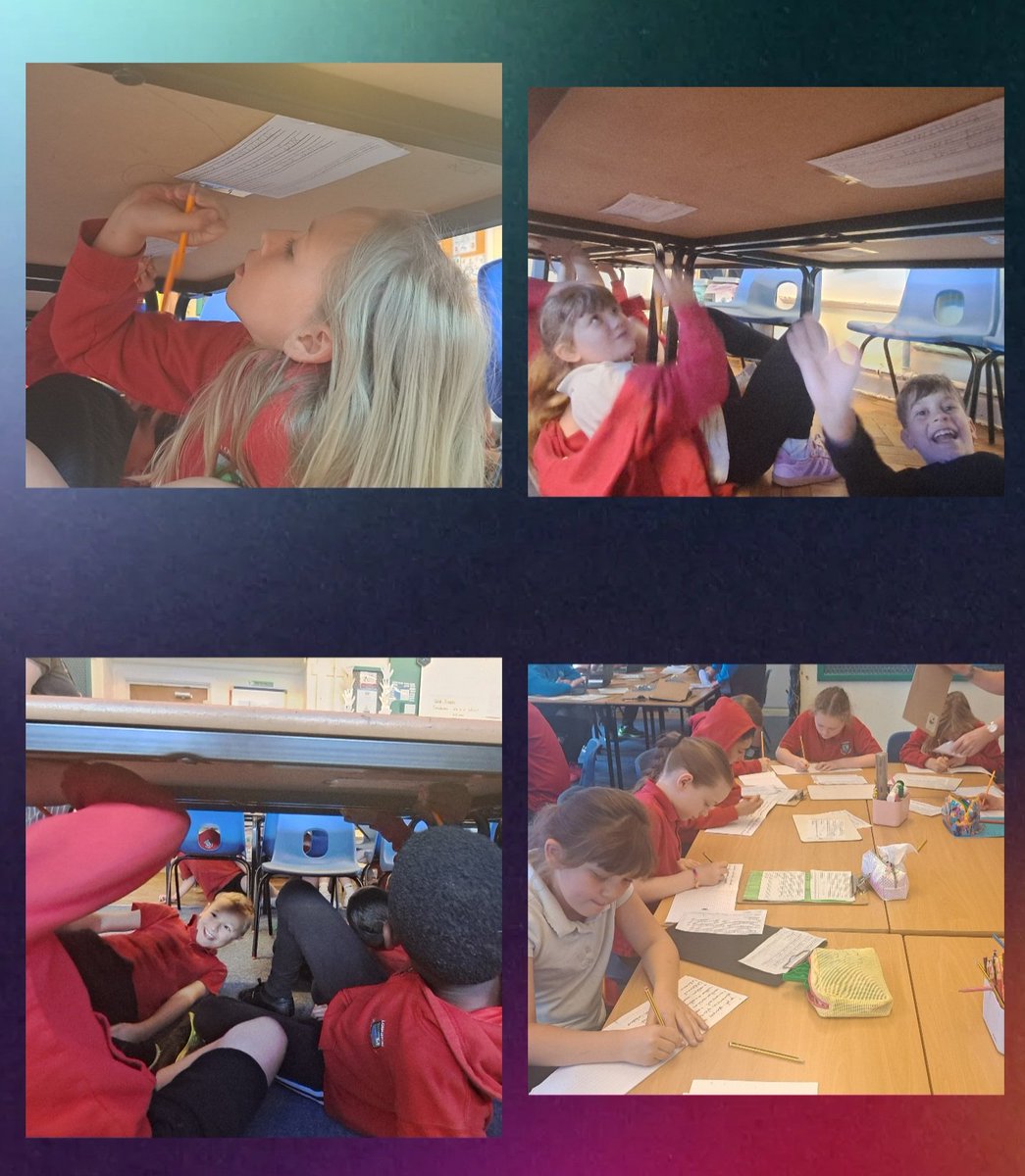 treuchafprimary tweet media