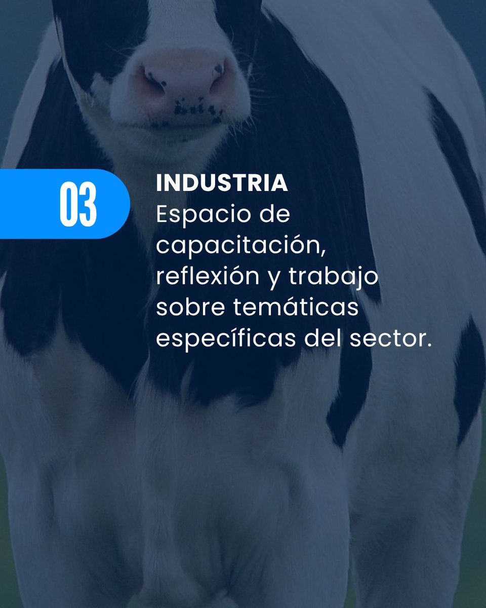 ¡Este año, el #SIL se renueva!

Presentamos una modalidad de trabajo novedosa, con espacios para que cada eslabón de la cadena lechera pueda encontrarse, dialogar, acceder a herramientas y fomentar el networking.