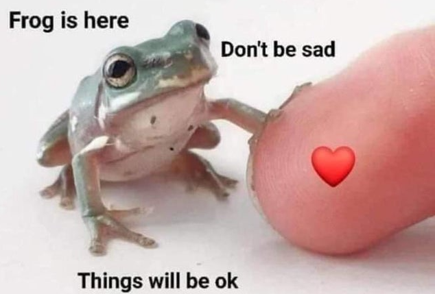 WholesomeMemes (@wholesomememe) on Twitter photo 