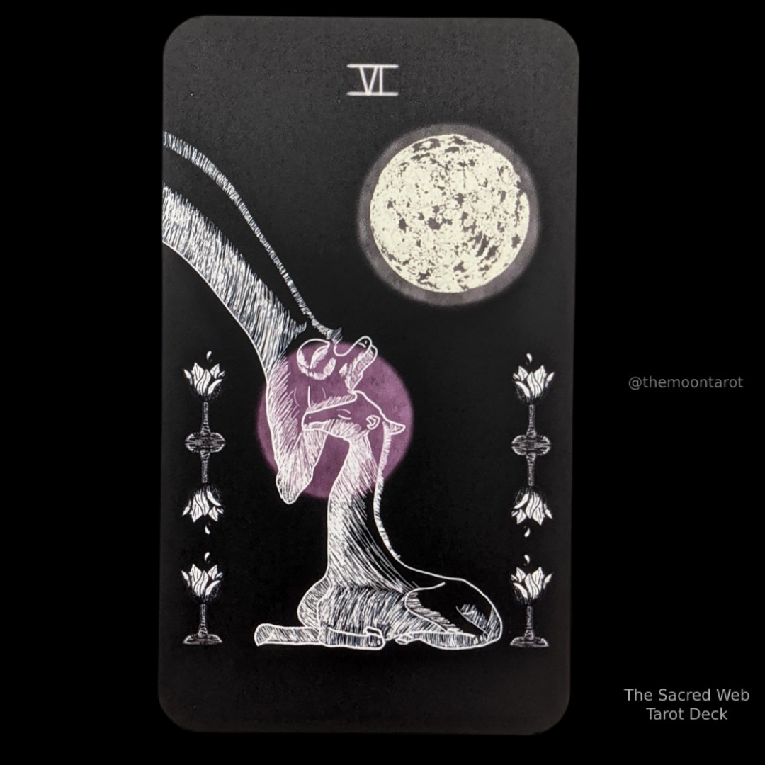 themoontarot_'s tweet photo. Today's Energy Reading: June 19, 2025 https://t.co/0YyByW0XNB
