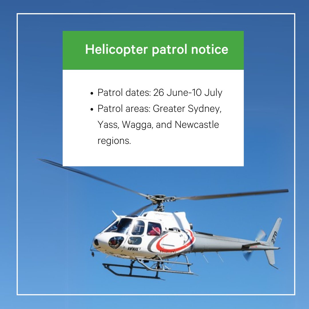 Transgrid tweet media