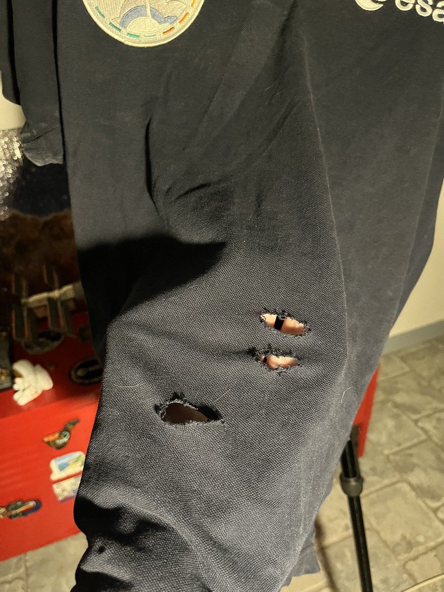 Caroline_1708's tweet photo. Hier soir en voulant sauver un chaton coincé dans mes thuyas, j’y ai laissé mon polo de l’ESA 😅 Ça en valait la peine, mais impossible de racheter le polo car le nouveau shop de l’ESA est nul et propose plus rien 😭 Monsieur @Thom_astro aidez-moi svp il me refaut votre polo 🙏🏼🤞🏼 https://t.co/6d40EoU551